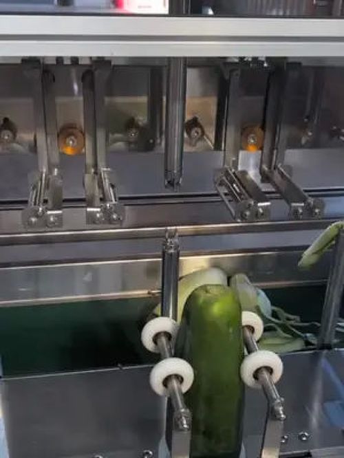 機(jī)械設(shè)備 工業(yè)機(jī)械 生產(chǎn)制作 機(jī)械加工 食品加工