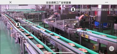 進(jìn)洽洽食品直播間看超炫酷的洽洽瓜子生產(chǎn)設(shè)備